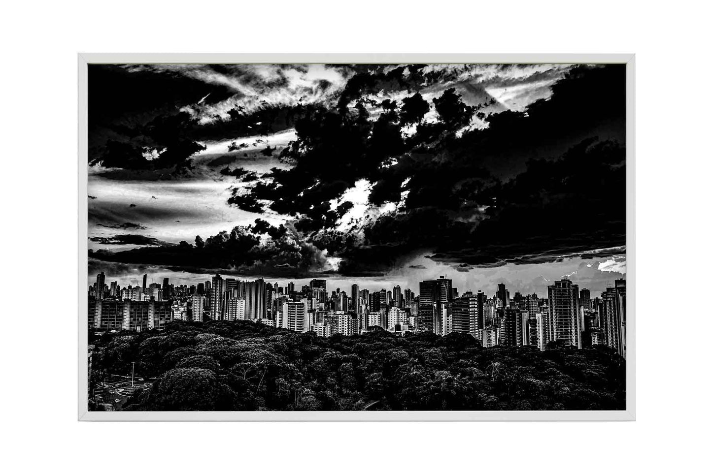 Goiânia - Bosque dos Buritis 01