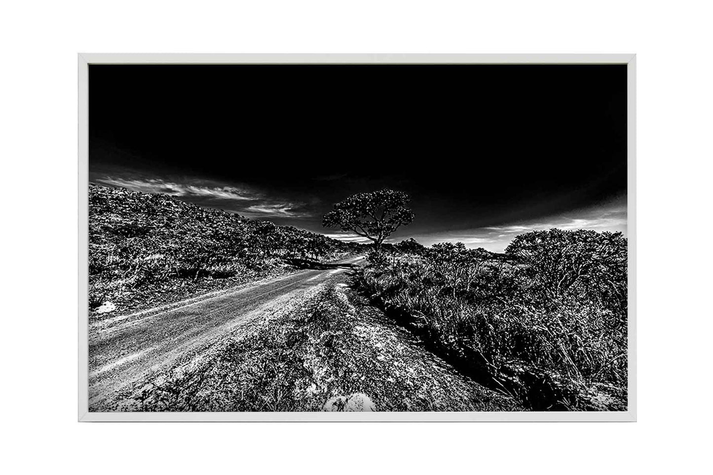 Parque dos Pirineus - Estrada