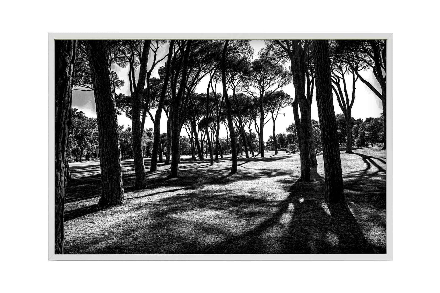 Madrid - Casa de Campo