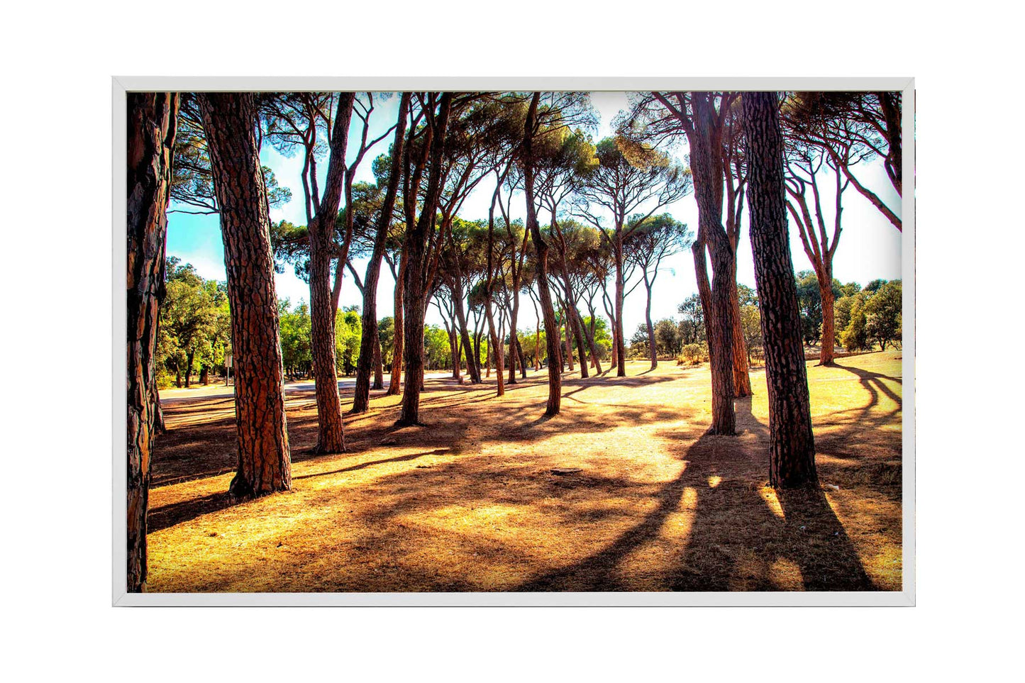 Madrid - Casa de Campo