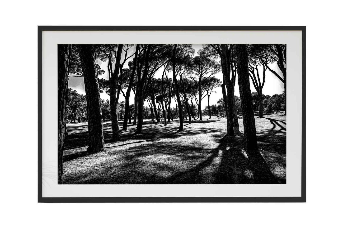Madrid - Casa de Campo