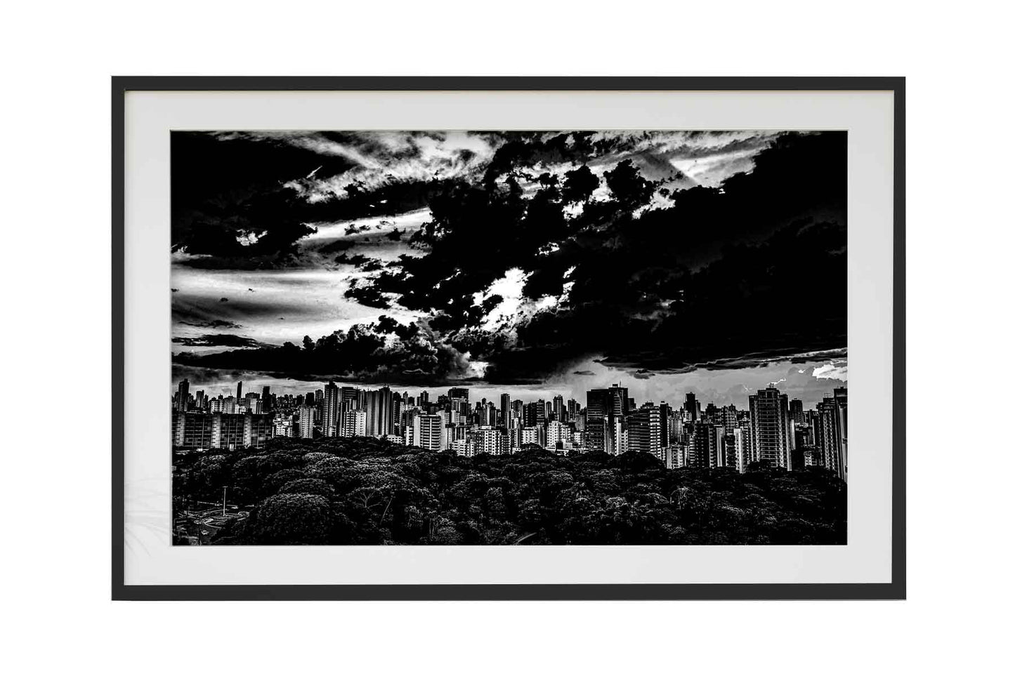Goiânia - Bosque dos Buritis 01