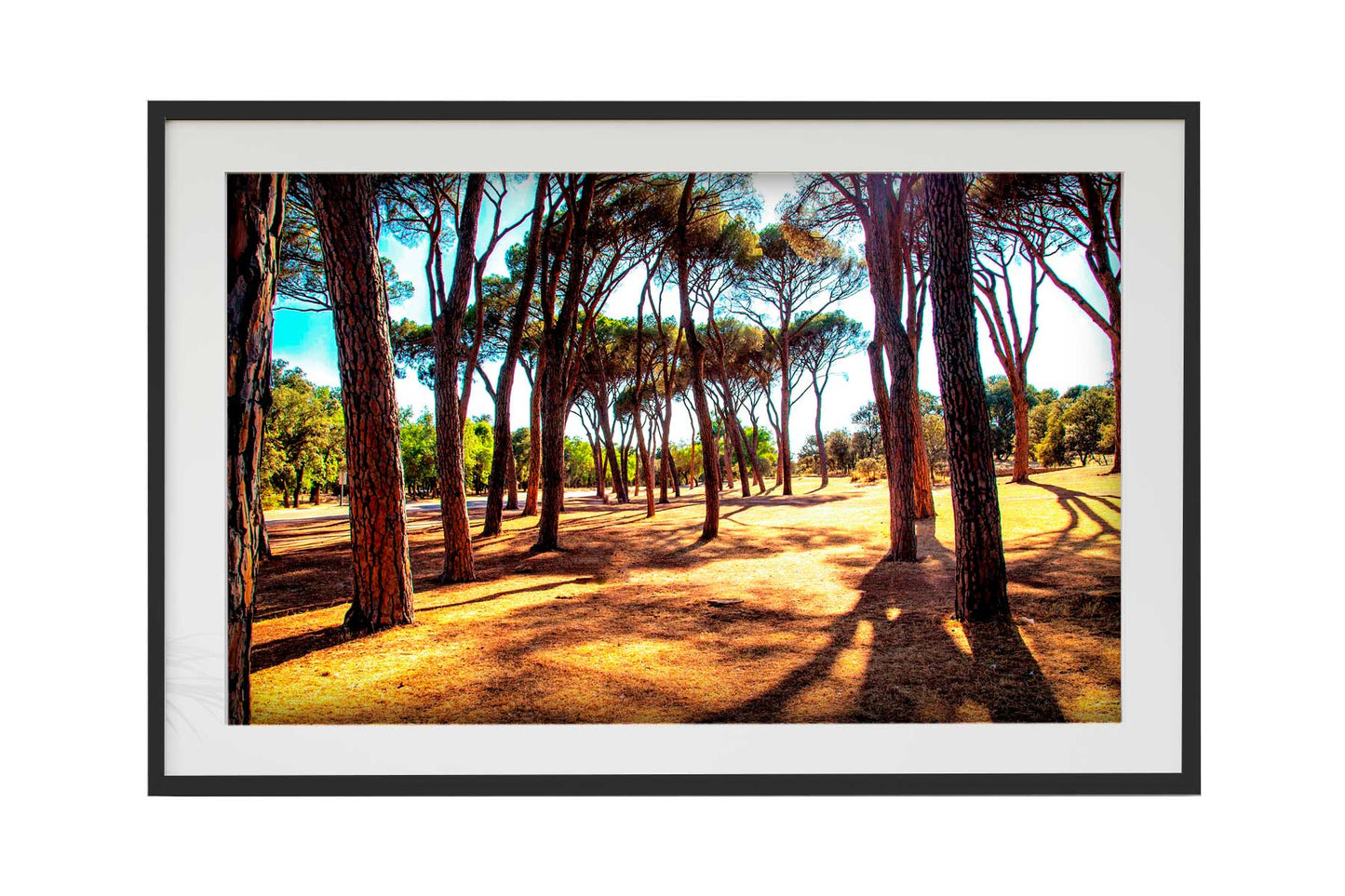 Madrid - Casa de Campo