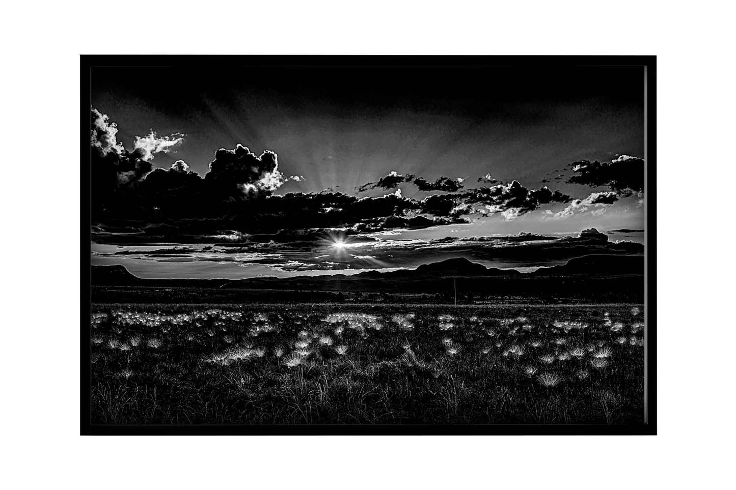 Chapada dos Veadeiros - Campo do Chuveirinho 01