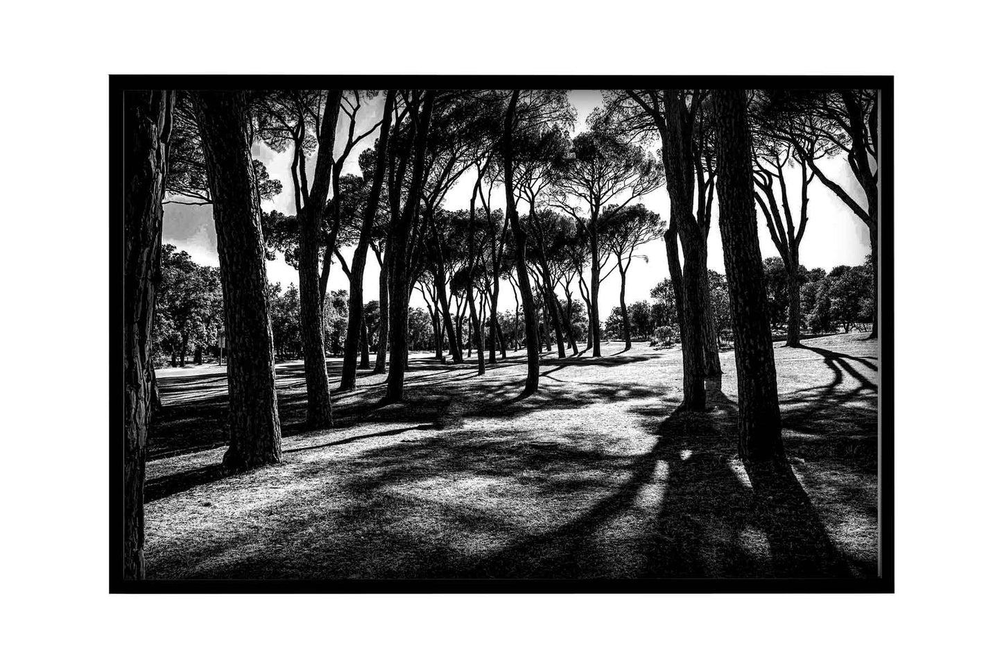 Madrid - Casa de Campo