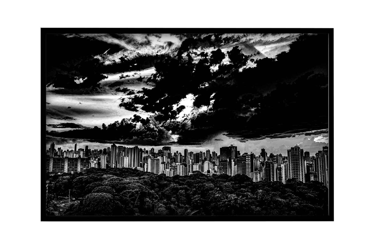 Goiânia - Bosque dos Buritis 01