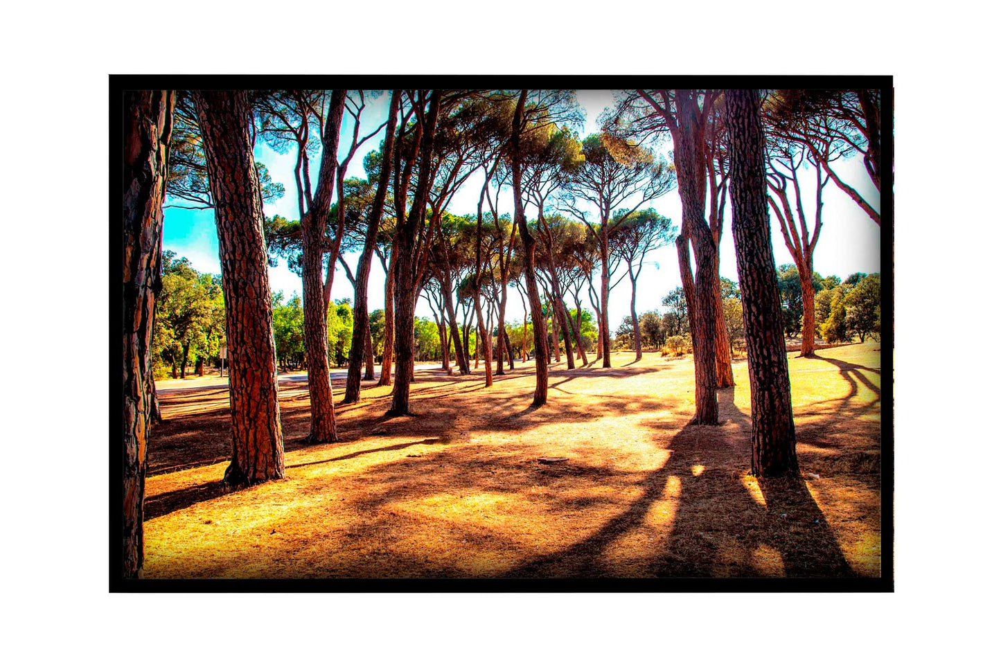 Madrid - Casa de Campo