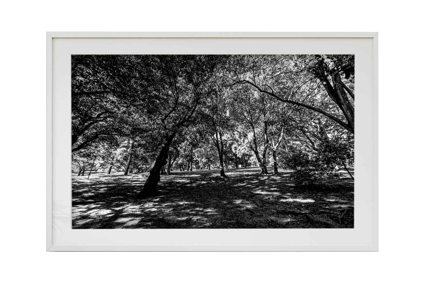 Montevidéu - Parque Jose Batle y Ordonez