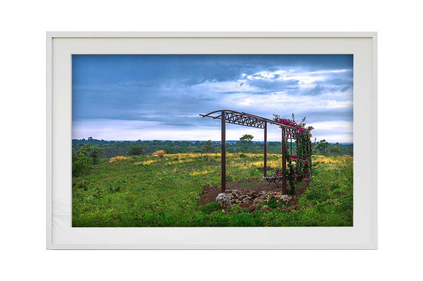 Cerrado 02