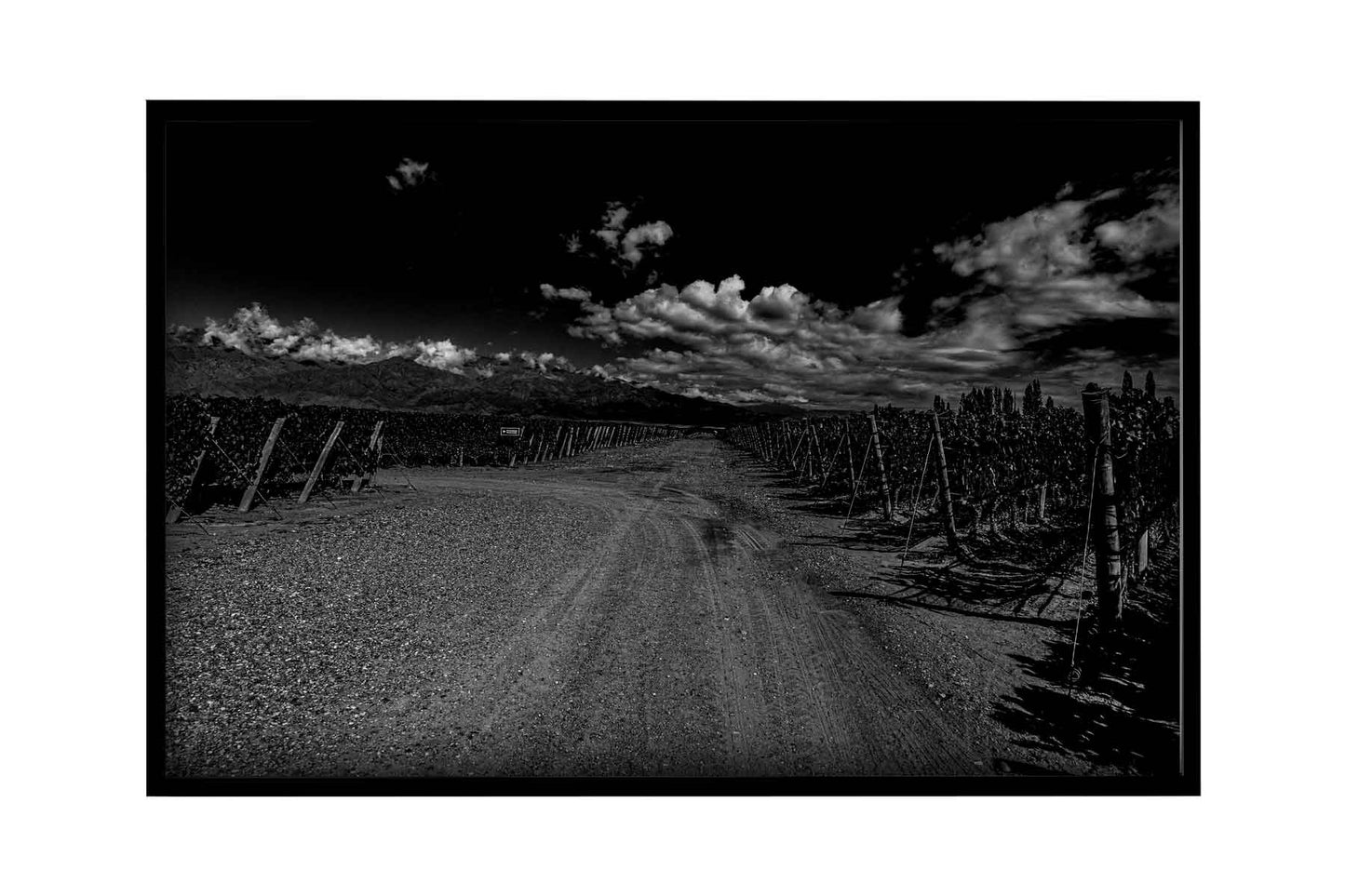 Vinicolas - Bodega Alfa Cux 2