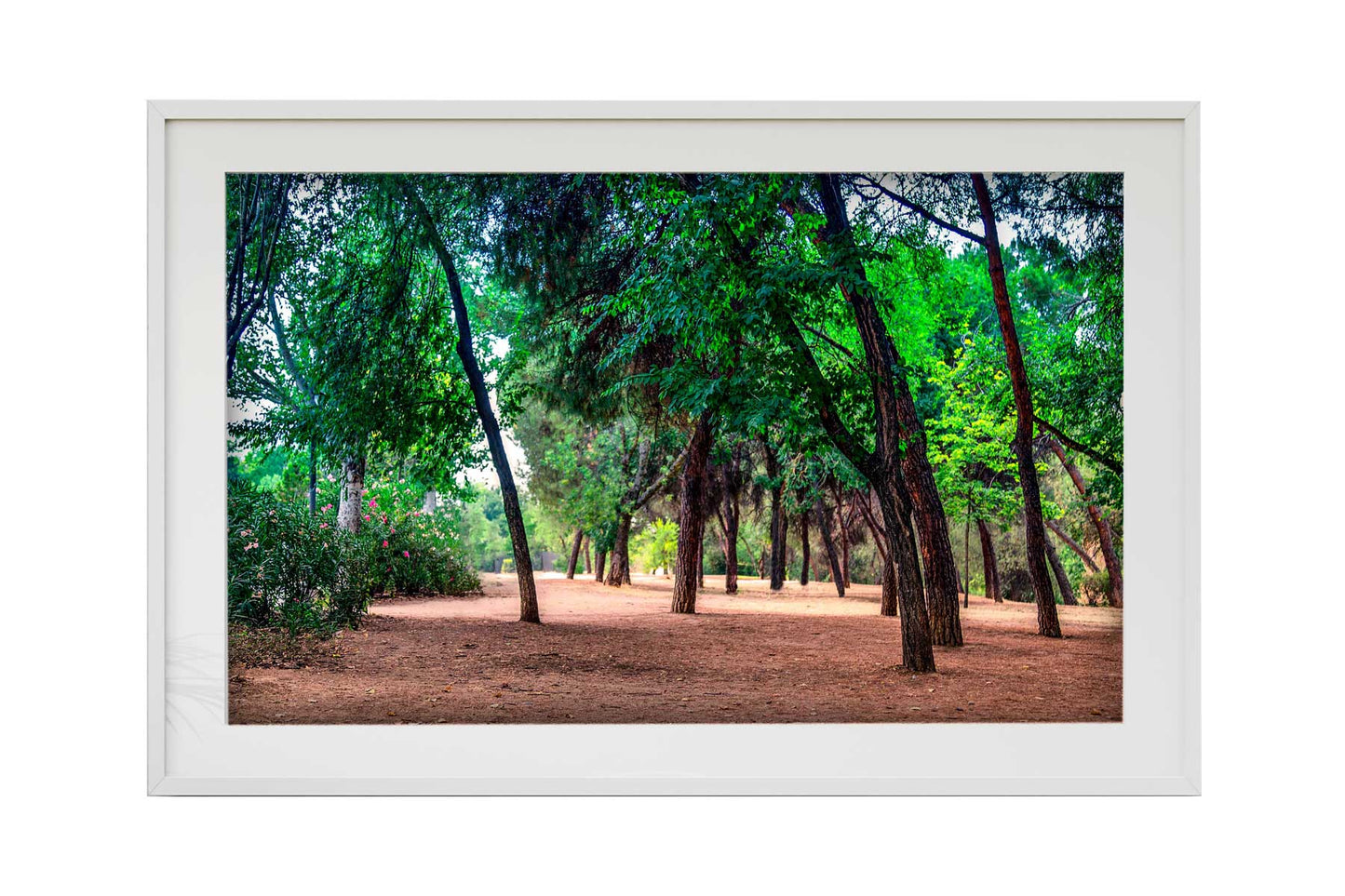 Madrid - Parque El retiro 01