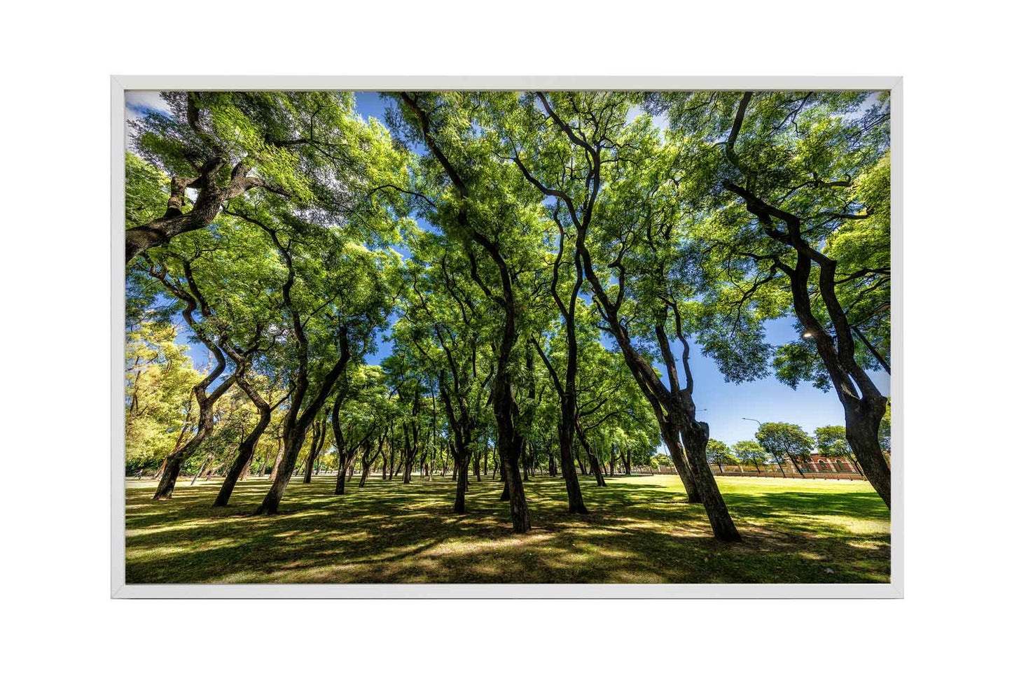 Buenos Aires - Lago de Regatas