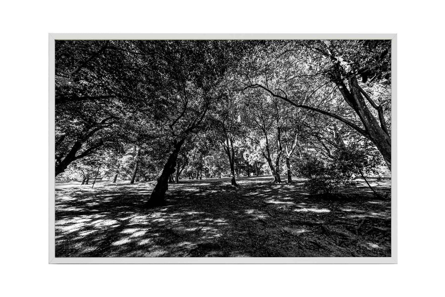 Montevidéu - Parque Jose Batle y Ordonez