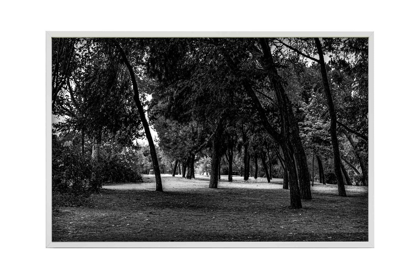 Madrid - Parque del Lago