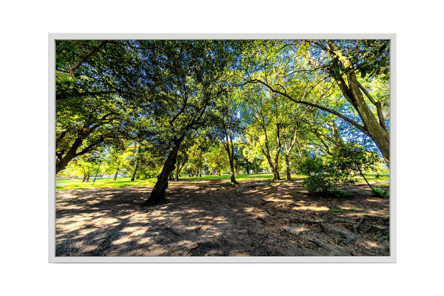 Montevidéu - Parque Jose Batle y Ordonez