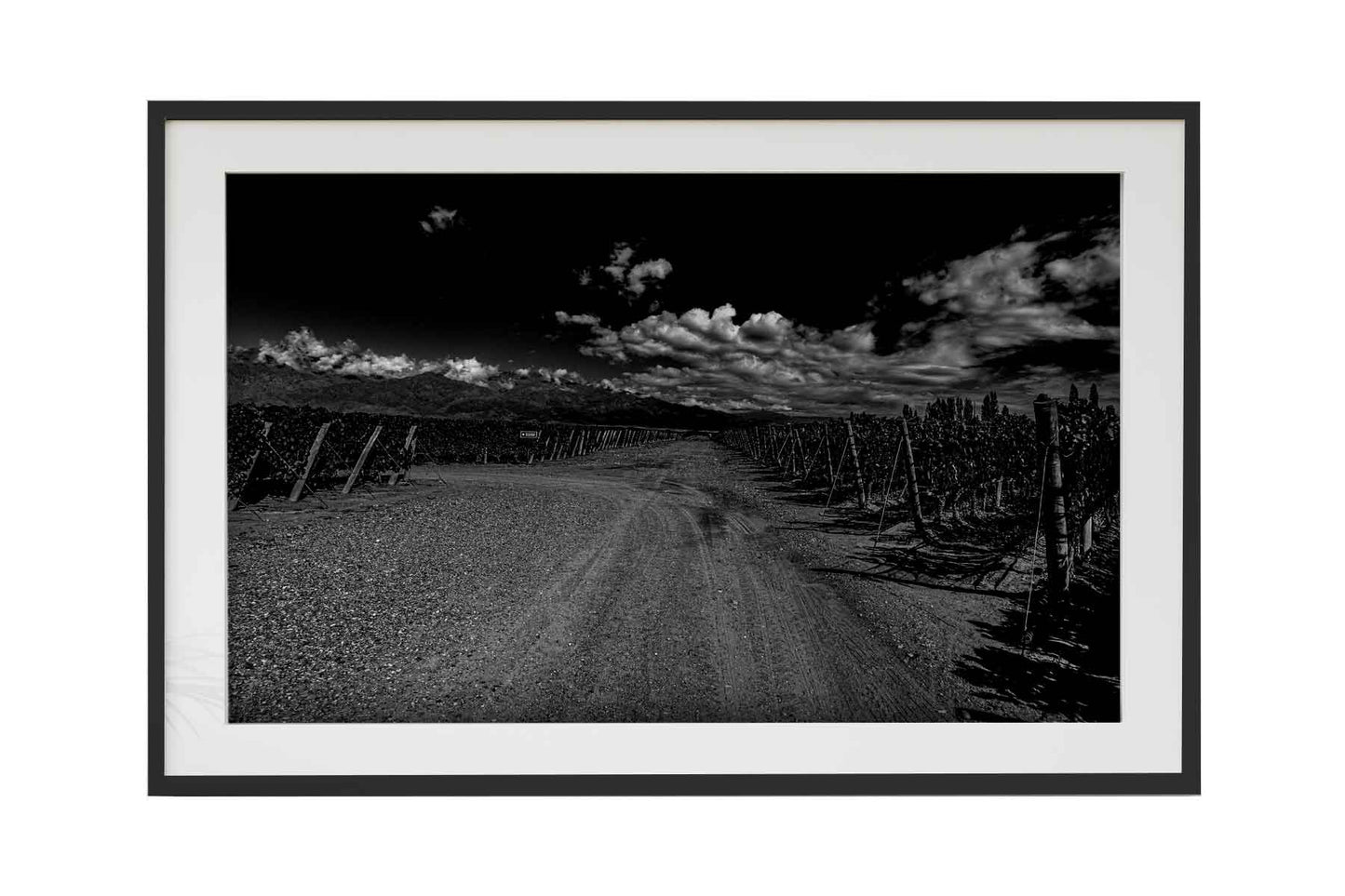 Vinicolas - Bodega Alfa Cux 2