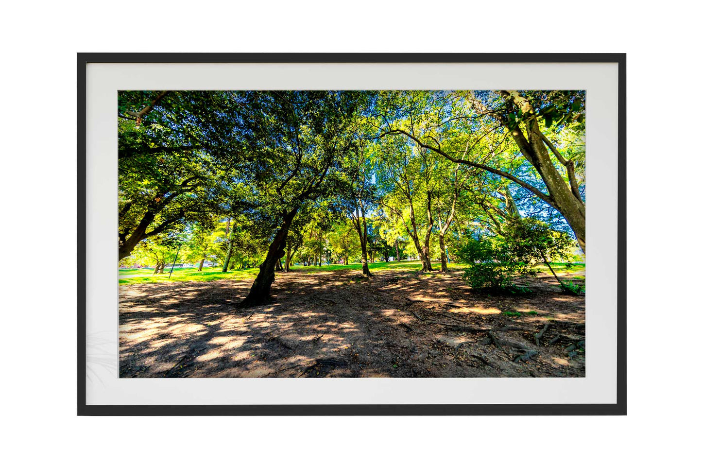 Montevidéu - Parque Jose Batle y Ordonez