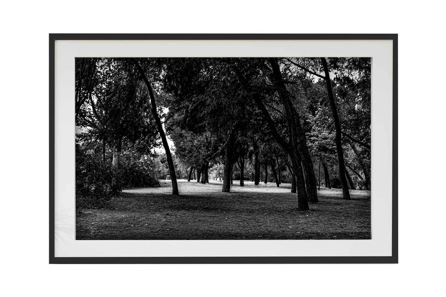 Madrid - Parque del Lago