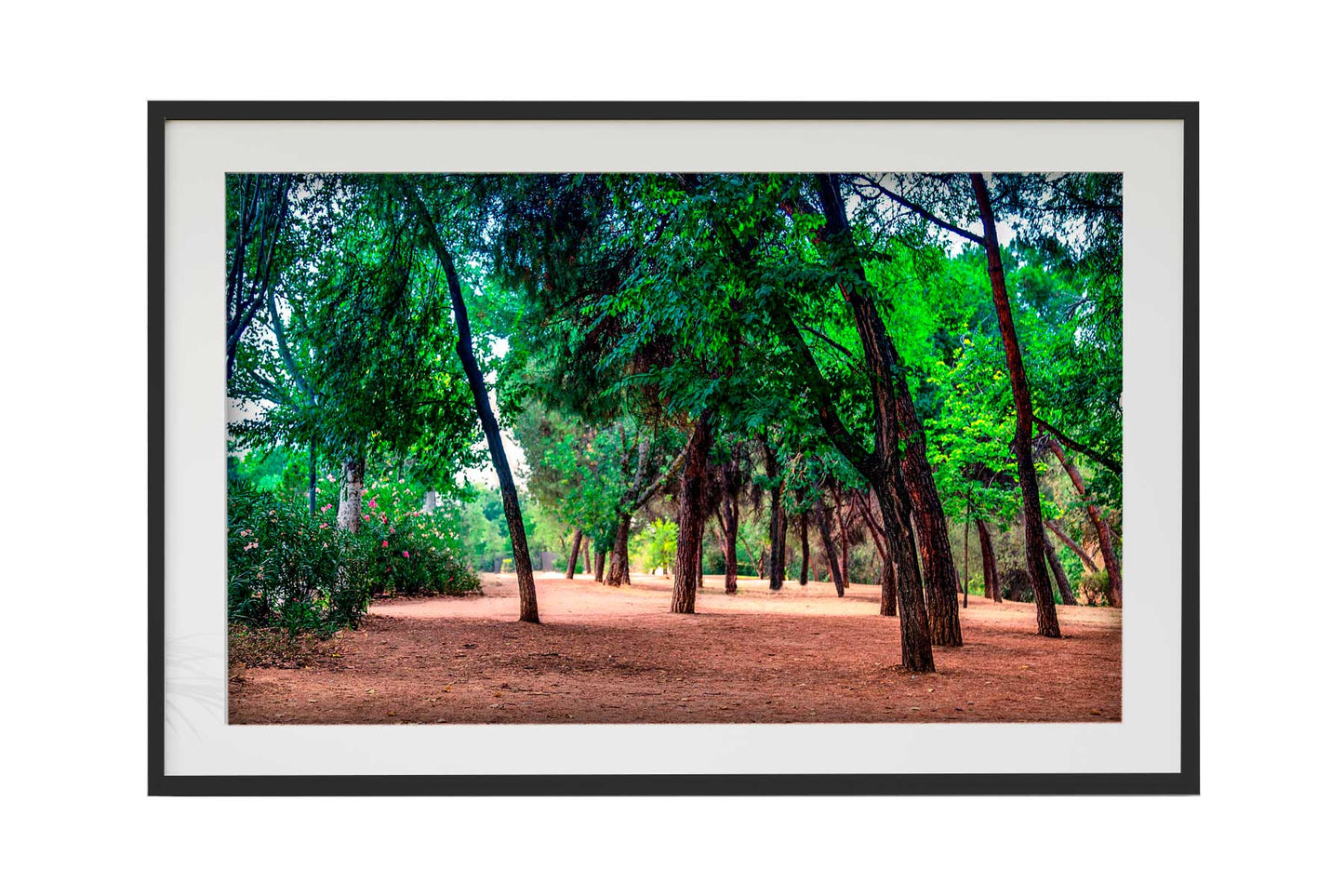 Madrid - Parque El retiro 01
