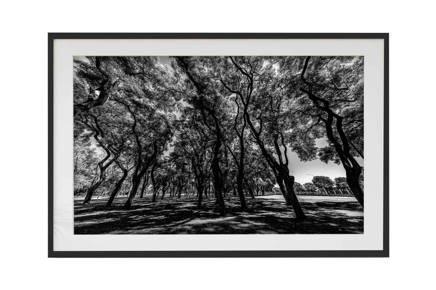 Buenos Aires - Lago de Regatas