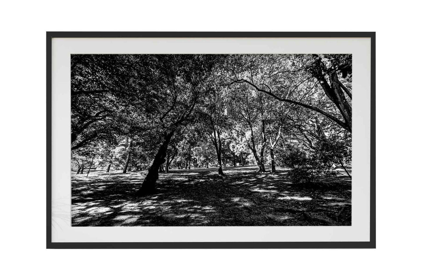 Montevidéu - Parque Jose Batle y Ordonez