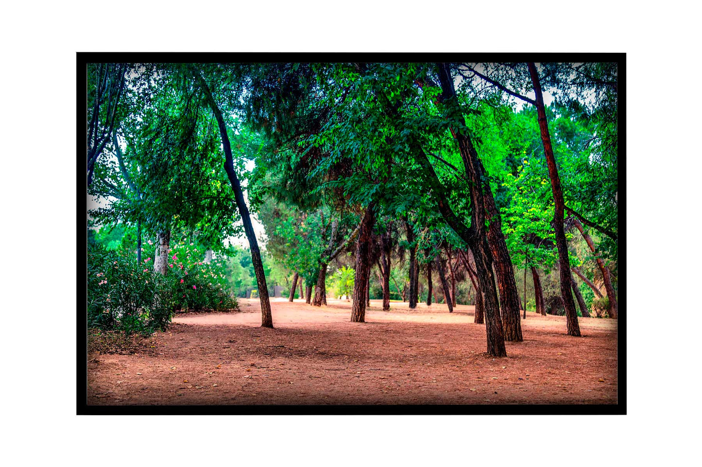Madrid - Parque El retiro 01