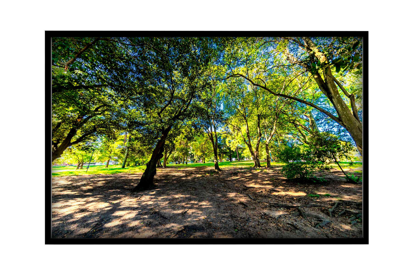 Montevidéu - Parque Jose Batle y Ordonez