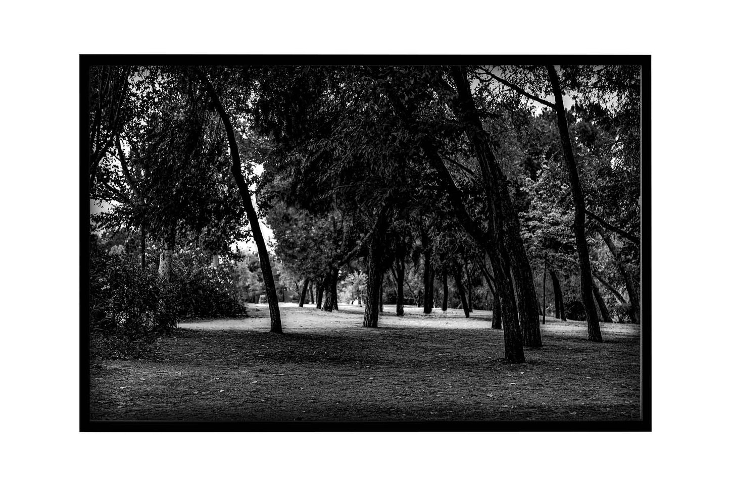 Madrid - Parque del Lago