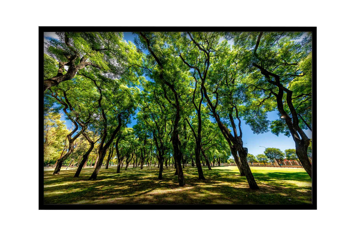 Buenos Aires - Lago de Regatas