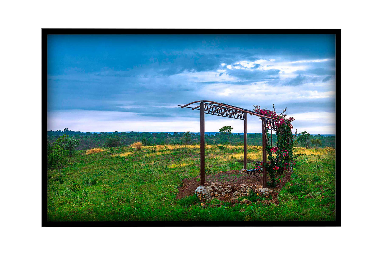 Cerrado 02