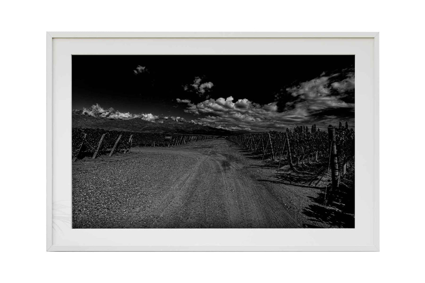 Vinicolas - Bodega Alfa Cux 2