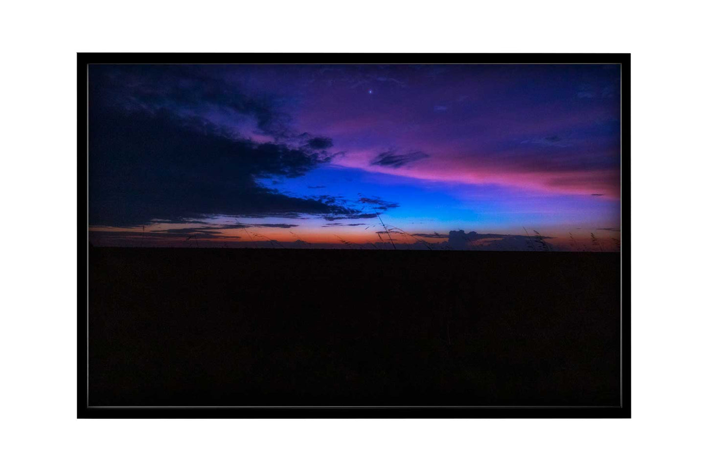 Cupinzeiros Bioluminescentes 2