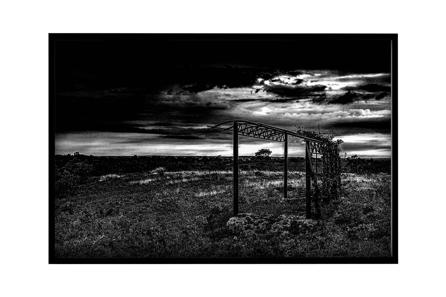 Cerrado 02