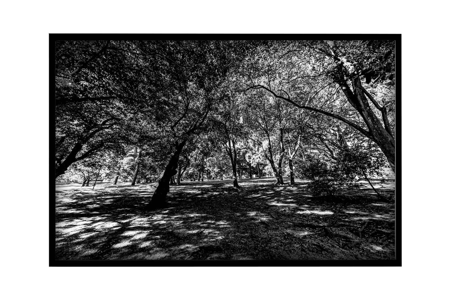 Montevidéu - Parque Jose Batle y Ordonez