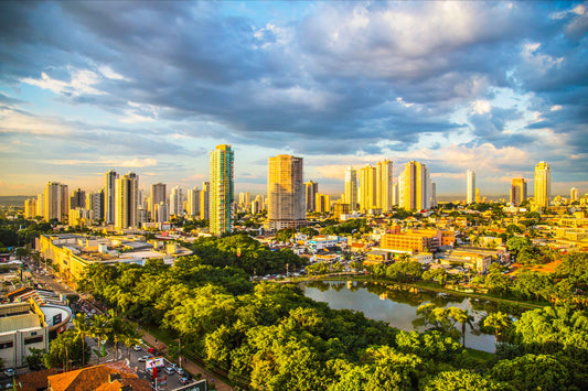Goiania - Vaca Brava