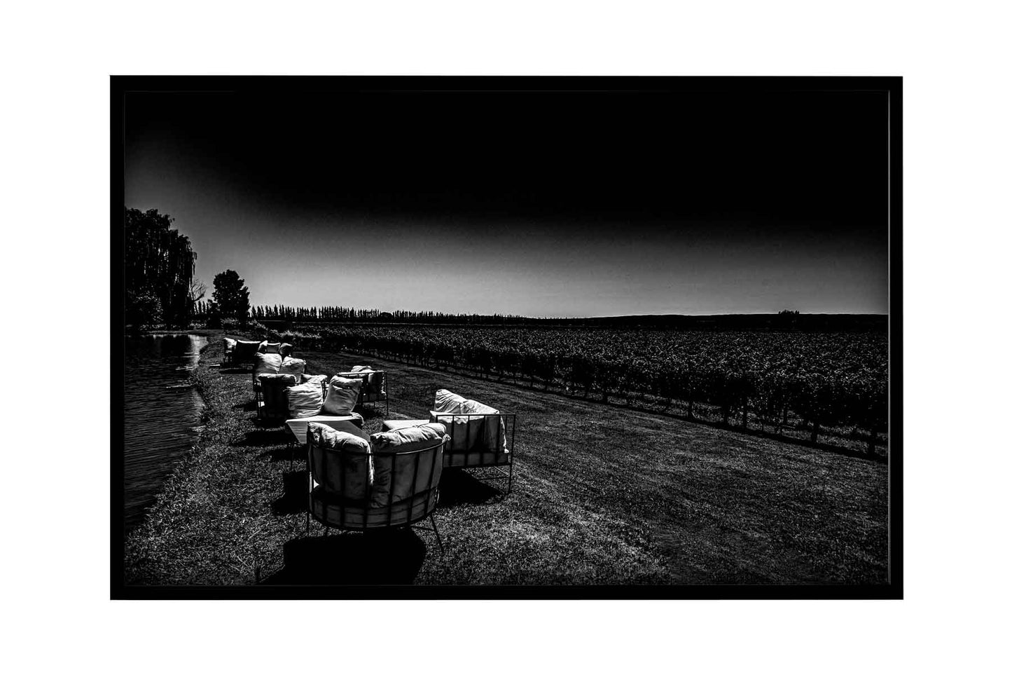 Vinicolas - Bodega Piattelli
