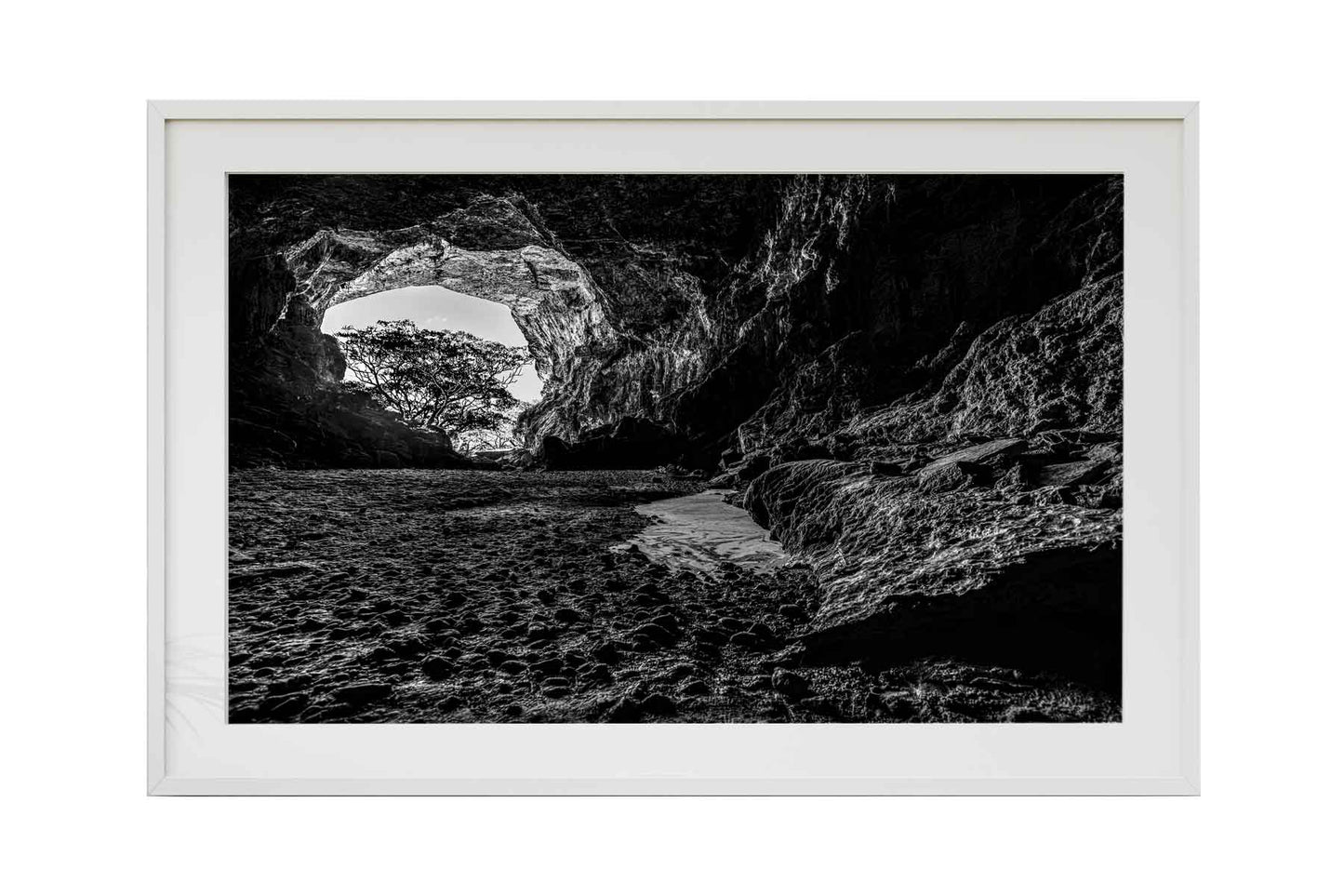 Parque Terra Ronca - Caverna Terra Ronca