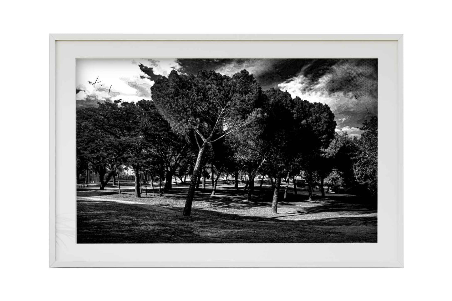 Madrid - Parque del Lago 2