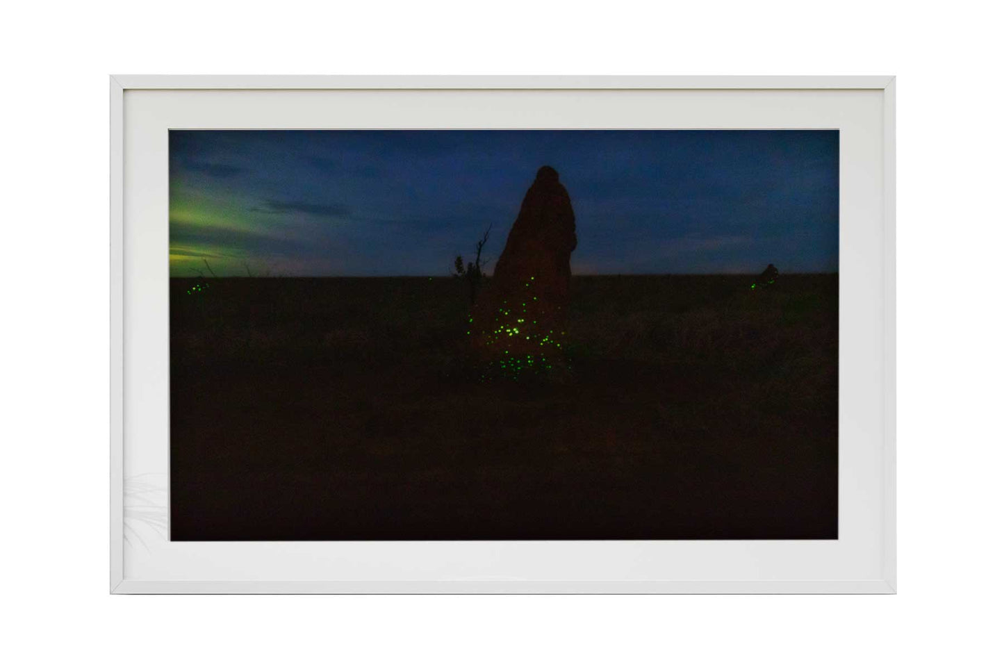 Cupinzeiros Bioluminescentes 3