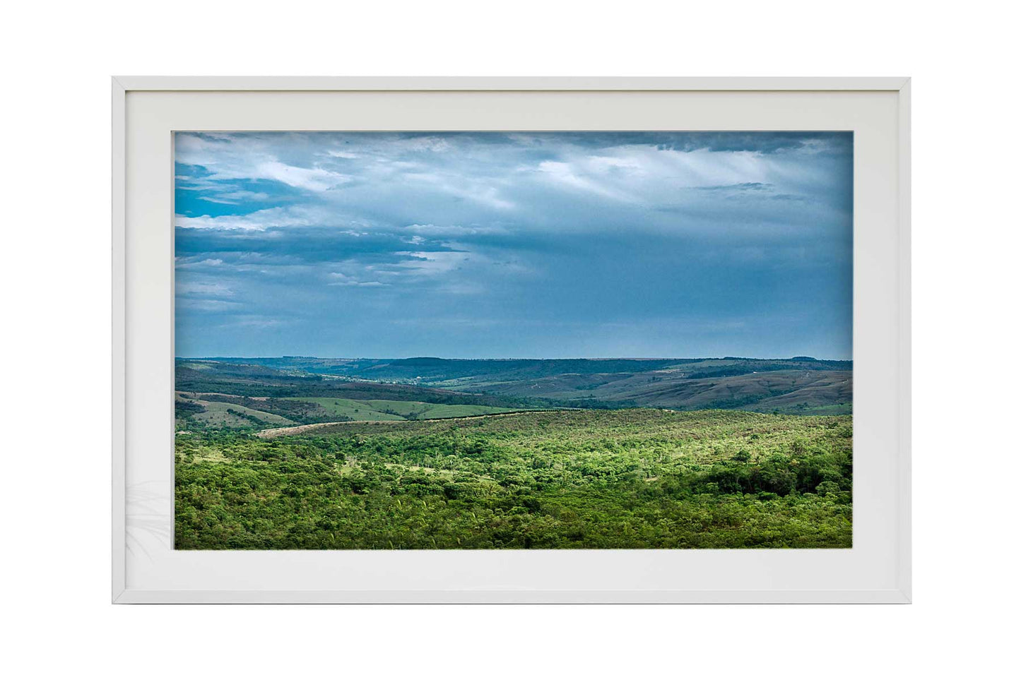 Cerrado 03