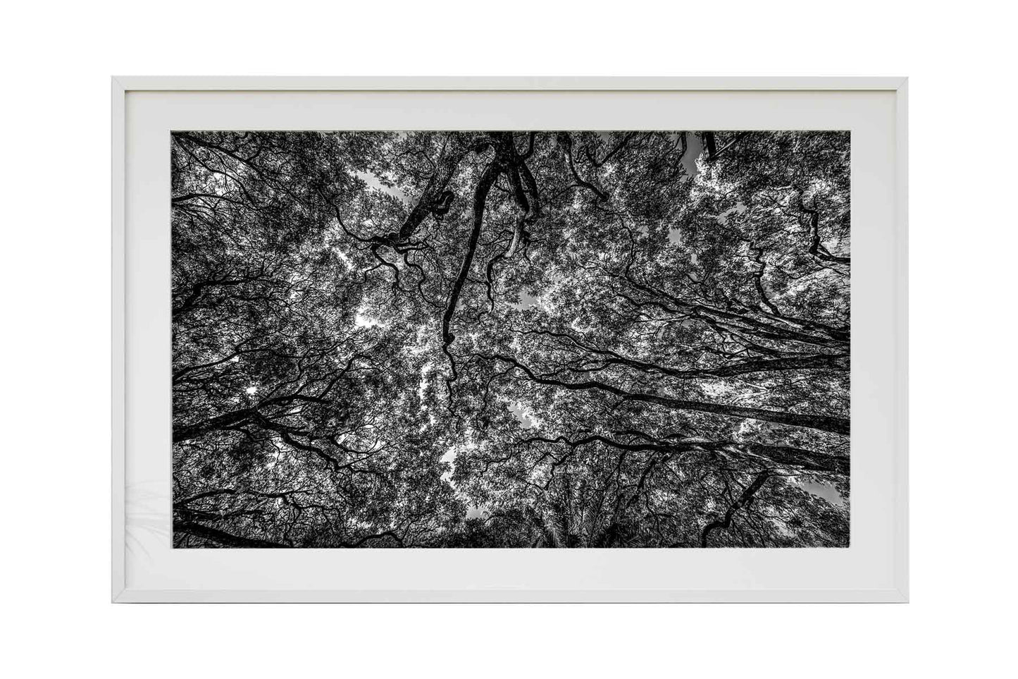 Montevidéu - Parque Rodo