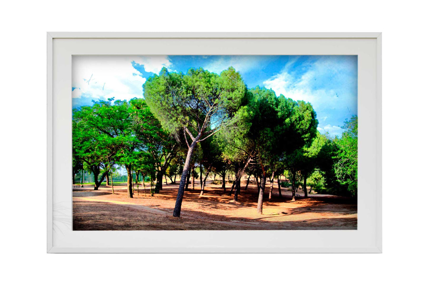 Madrid - Parque del Lago 2
