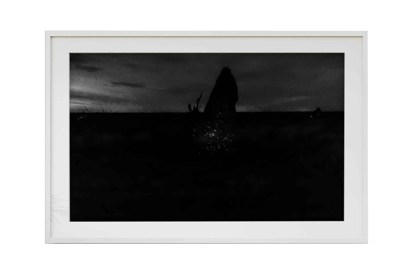 Cupinzeiros Bioluminescentes 3