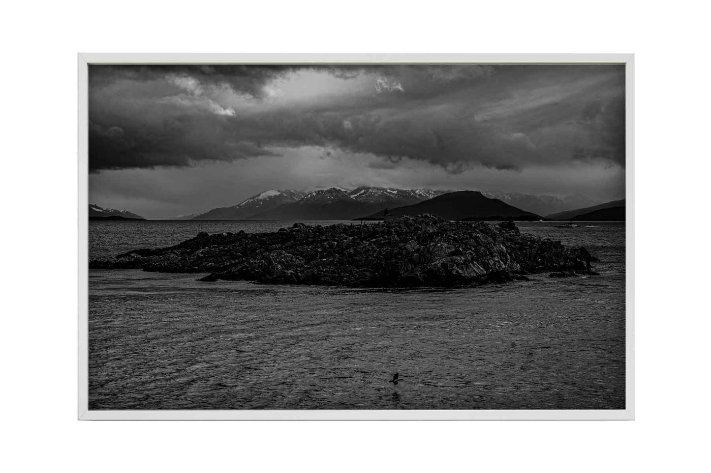 Canal de Beagle - Isla