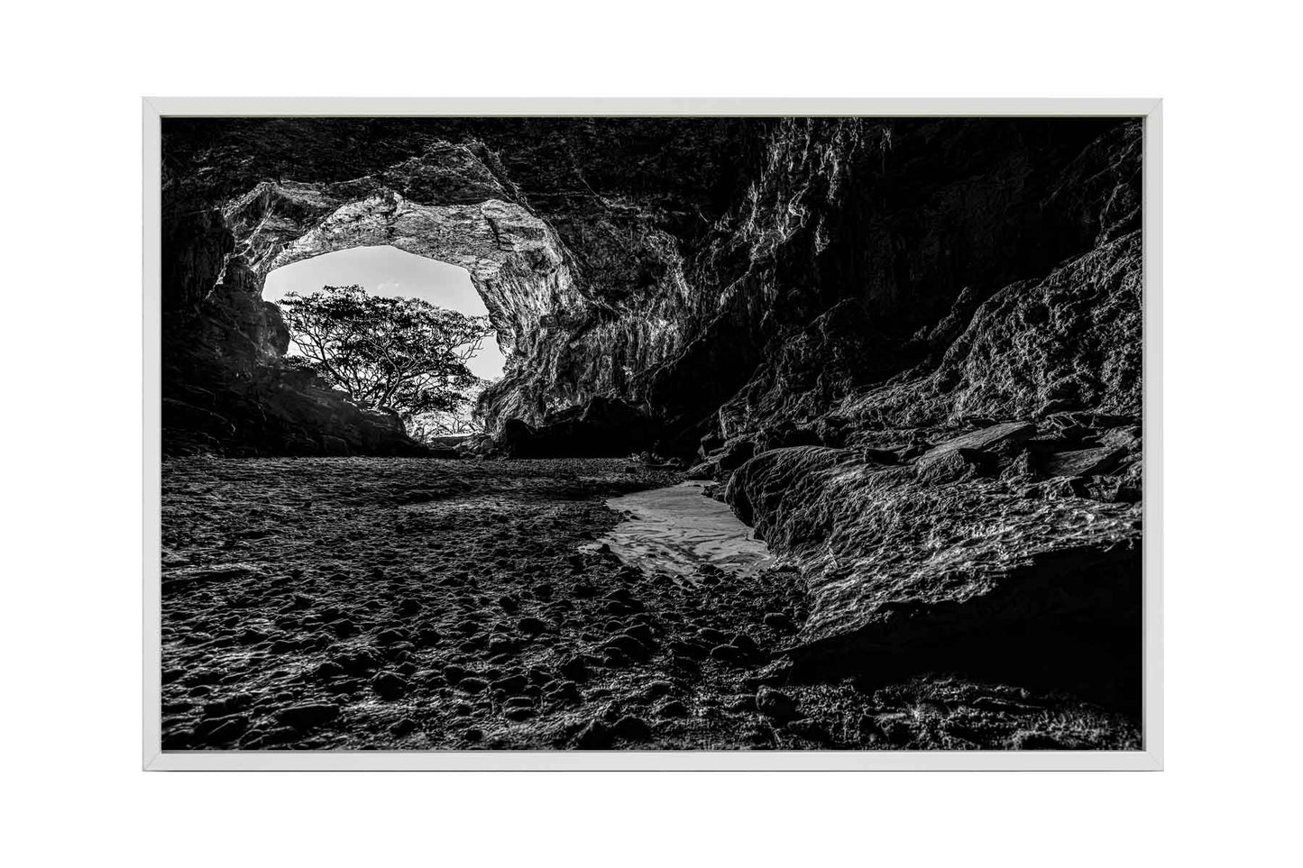 Parque Terra Ronca - Caverna Terra Ronca