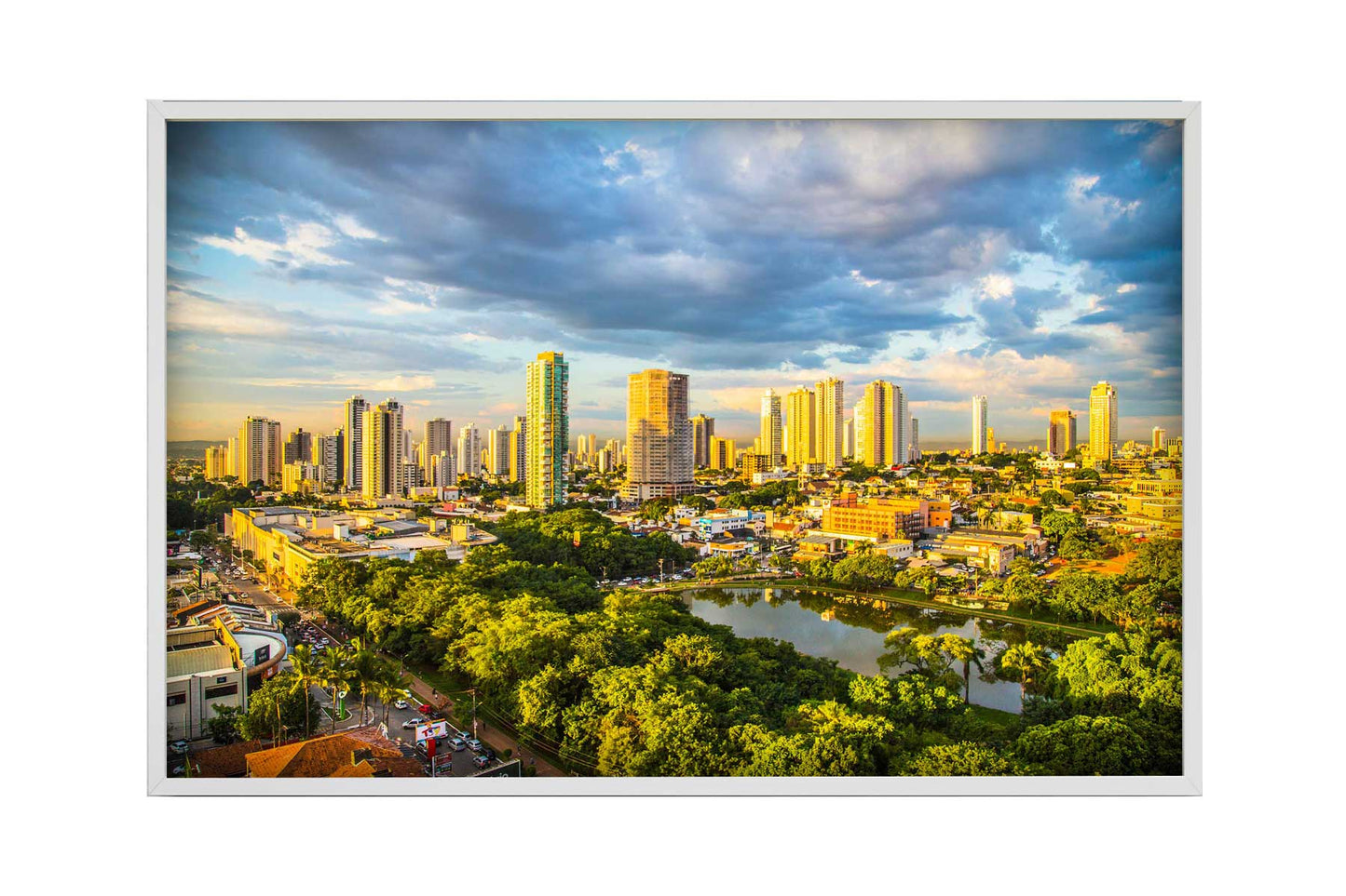 Goiania - Vaca Brava