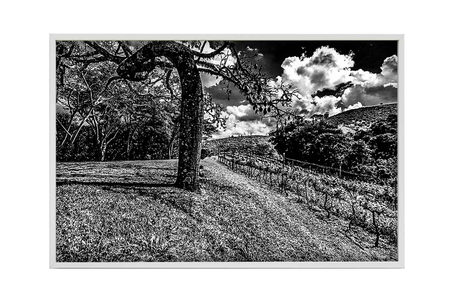 Vinicolas - Santa Maria