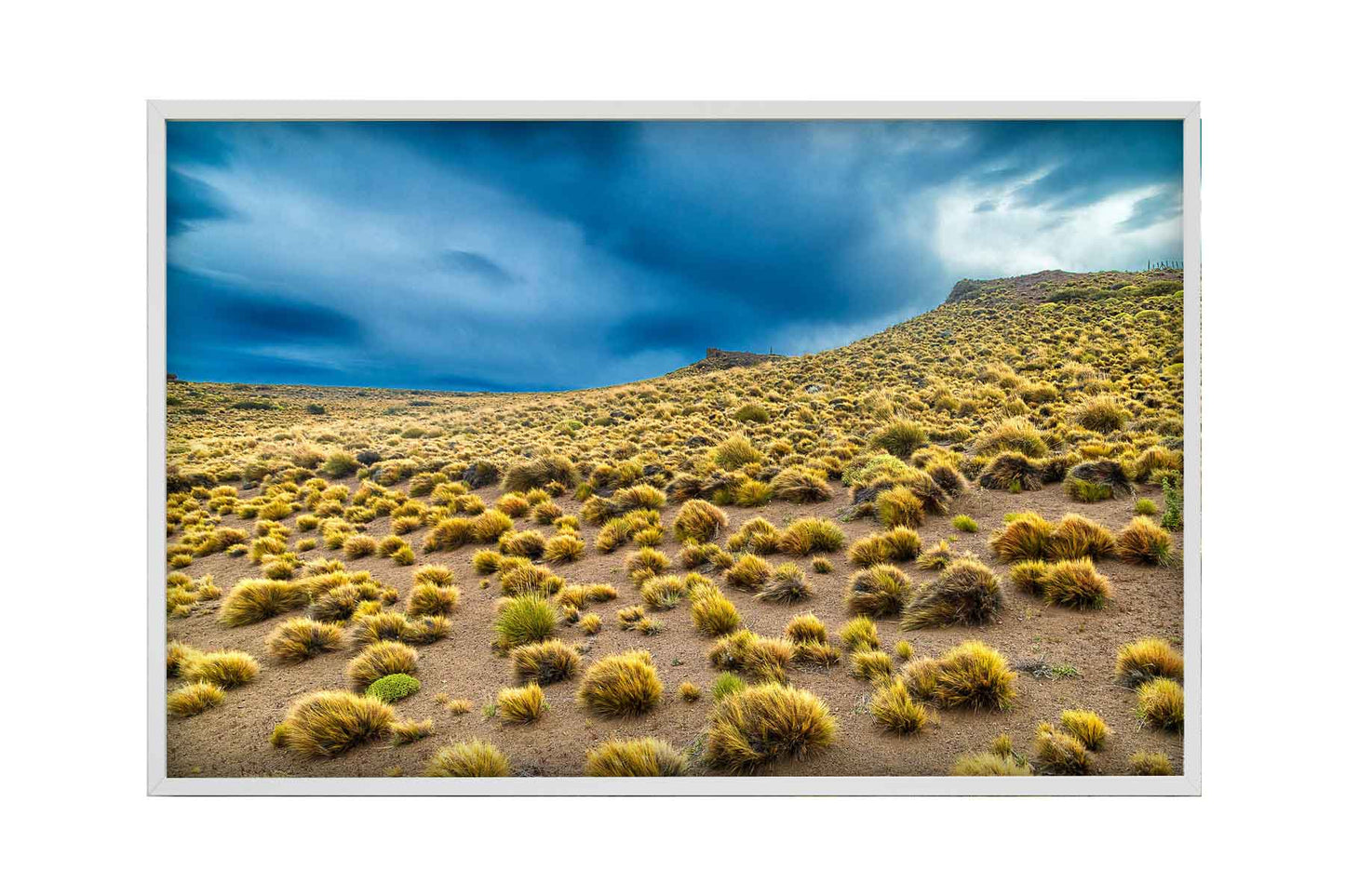 Parque Nacional da Patagônia - Ruta Escenica 1