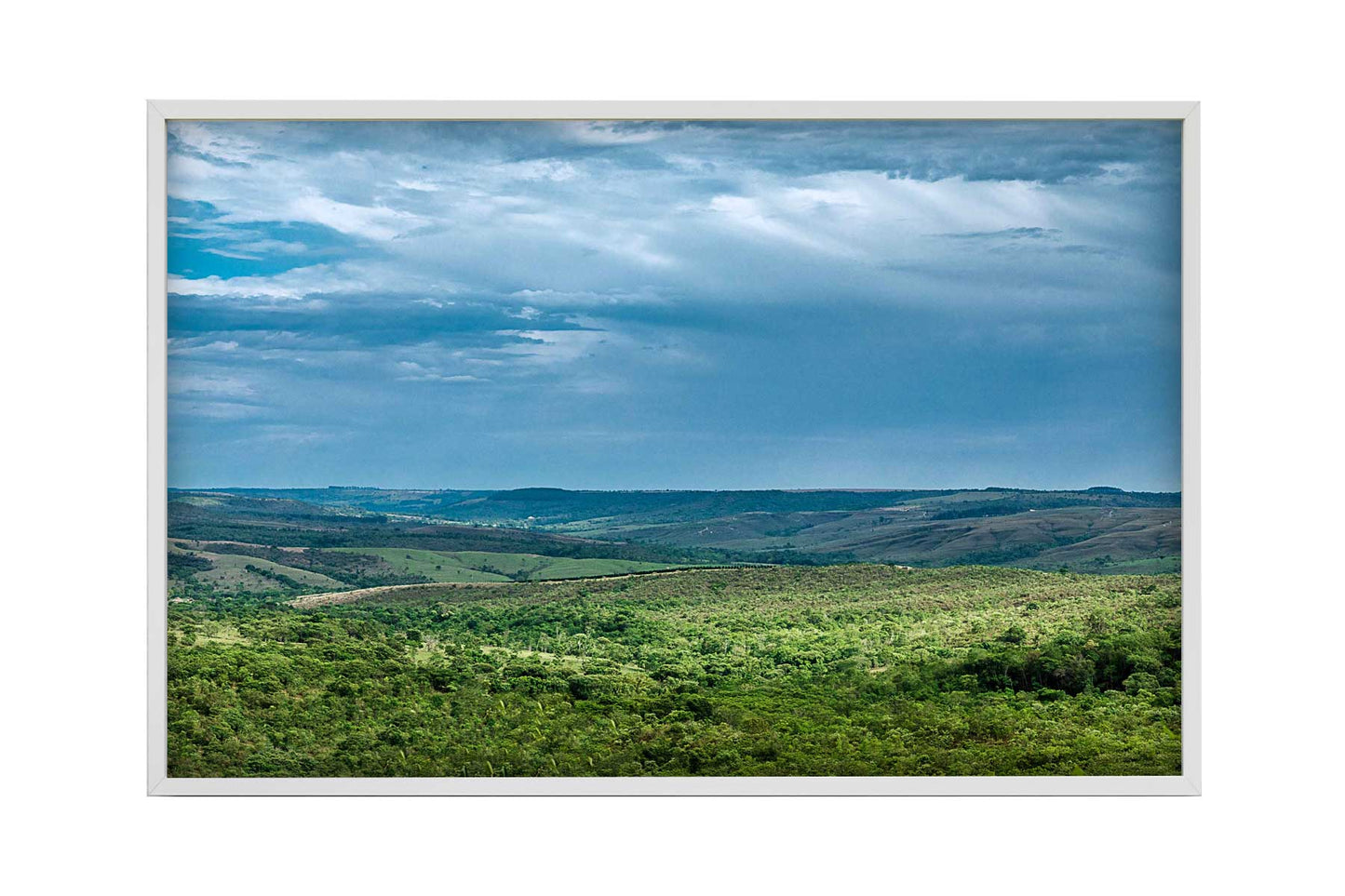 Cerrado 03