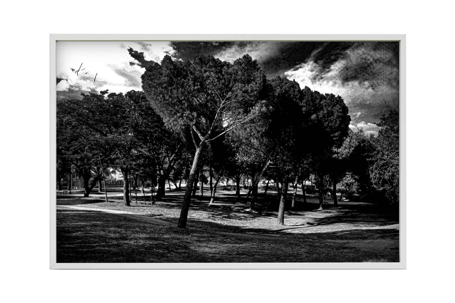 Madrid - Parque del Lago 2